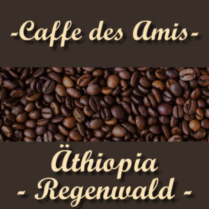 Äthiopia - Regenwald