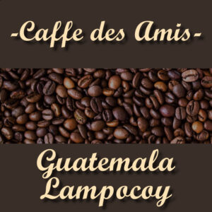 Guatemala Projektkaffee - Lampocoy